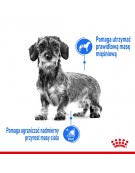 Royal Canin Mini Light Weight Care karma sucha dla psów dorosłych, ras małych z tendencją do nadwagi 3kg