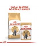 Royal Canin British Shorthair Adult karma sucha dla kotów dorosłych rasy brytyjski krótkowłosy 400g