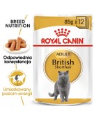 Royal Canin British Shorthair karma mokra w sosie dla kotów dorosłych rasy brytyjski krótkowłosy saszetka 85g