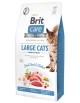 Brit Care Cat Grain Free Large Cats Power & Vitality 2kg