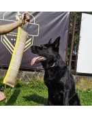 Dingo Zabawka dla psa - Szarpak z juty z dwoma uchwytami 60/8cm