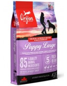 Orijen Puppy Large Breed 6kg