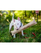 Dingo Zabawka dla psa - Szarpak z juty z dwoma uchwytami 28/4cm