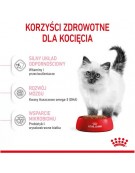 Royal Canin Kitten karma sucha dla kociąt od 4 do 12 miesiąca życia 4kg