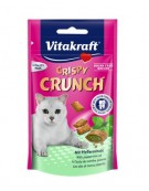 Vitakraft Cat Crispy Crunch dental 60g [2428813]