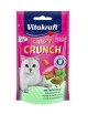 Vitakraft Cat Crispy Crunch dental 60g [2428813]
