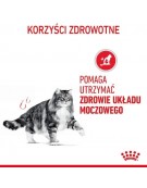 Royal Canin Urinary Care sosie karma mokra w sosie dla kotów dorosłych, ochrona dolnych dróg moczowych saszetka 85g