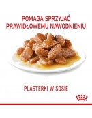 Royal Canin Urinary Care sosie karma mokra w sosie dla kotów dorosłych, ochrona dolnych dróg moczowych saszetka 85g