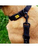 Dingo Obroża regulowana z taśmy bawełnianej 2,5x55cm czarna