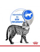 Royal Canin Indoor Sterilised karma mokra dla kotów dorosłych sterylizowanych, przebywających w domu saszetka 85g
