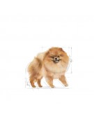 Royal Canin Pomeranian Adult karma mokra dla psów dorosłych rasy szpic miniaturowy, pasztet saszetka 85g