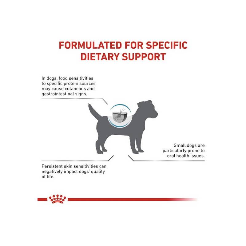Royal Canin Veterinary Diet Canine Anallergenic Small 3kg
