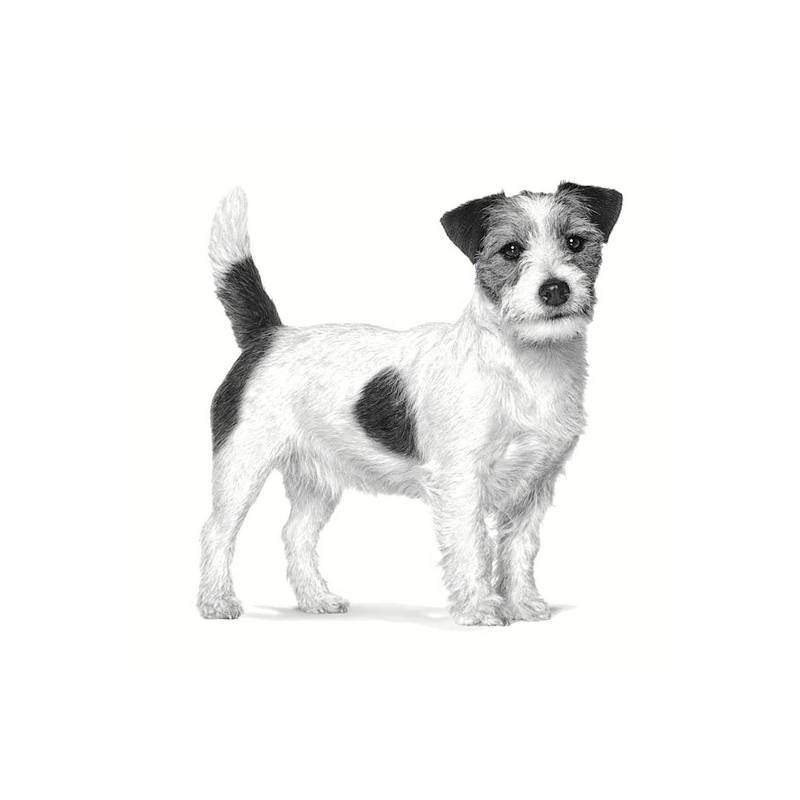 Royal Canin Veterinary Diet Canine Anallergenic Small 3kg