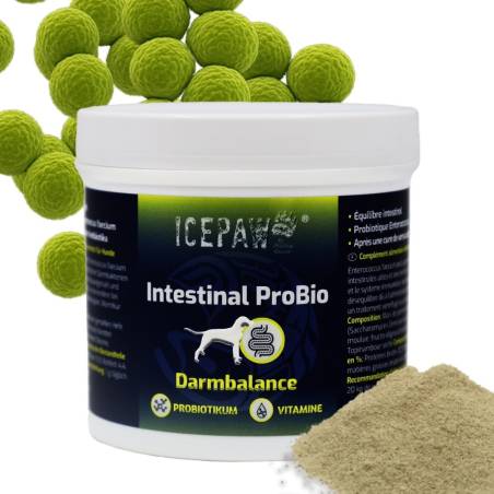 ICEPAW Intestinal ProBio - probiotyk dla psa (90g)