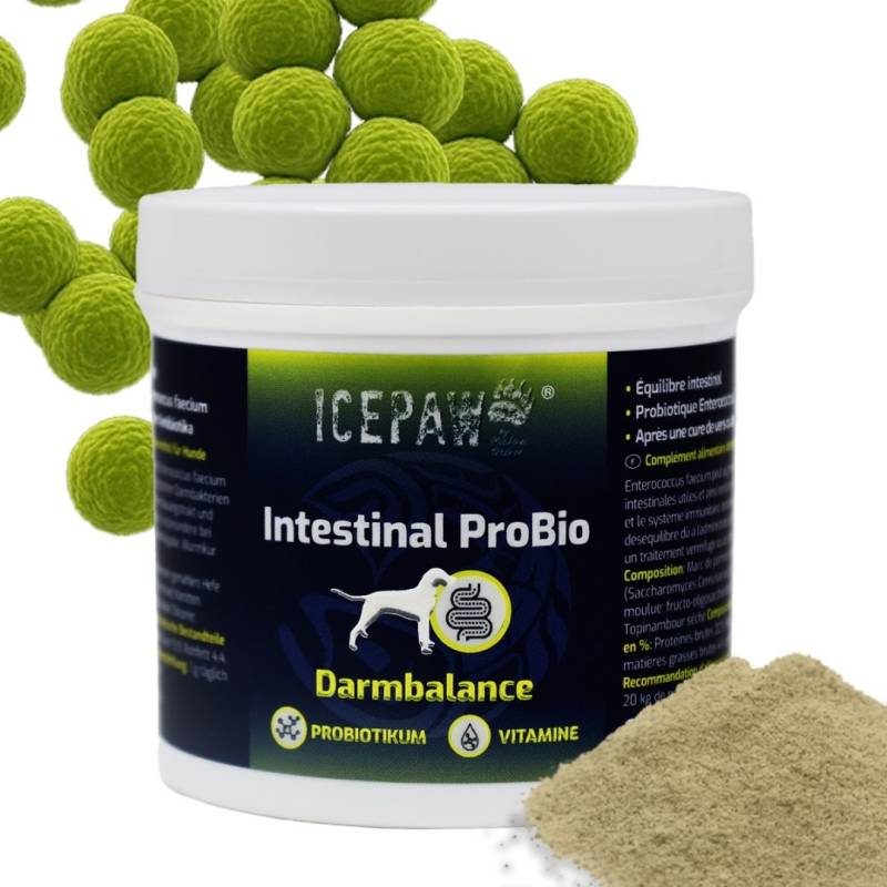 ICEPAW Intestinal ProBio - probiotyk dla psa (90g)
