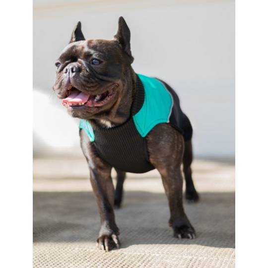 Chaba Ubranko regulowane Wear Magnifique 3XL zielone