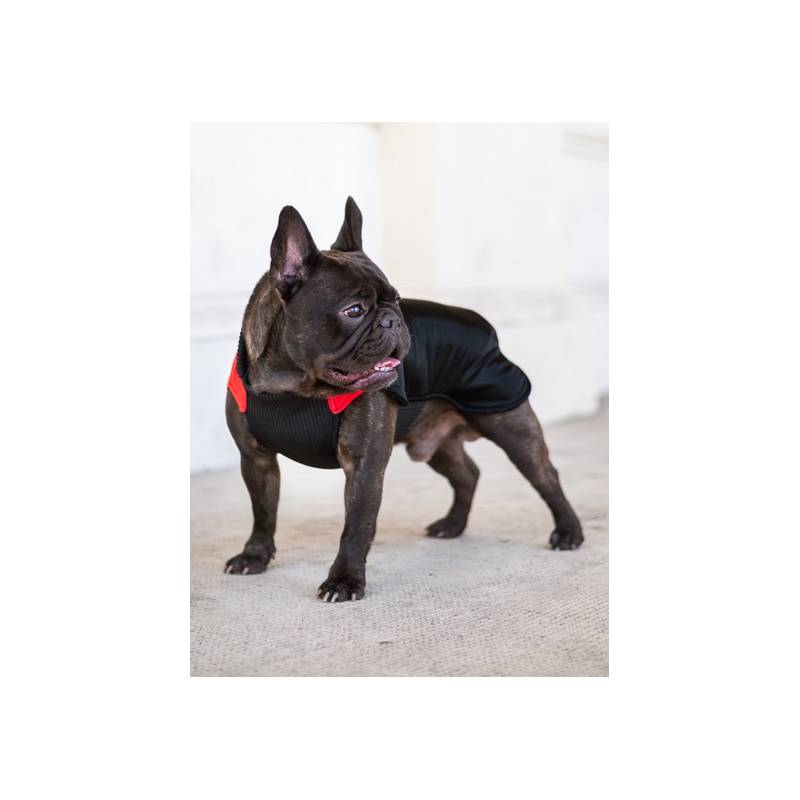 Chaba Ubranko regulowane Wear Magnifique XL czerwone