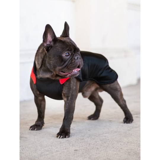 Chaba Ubranko regulowane Wear Magnifique XS czerwone