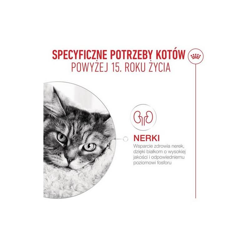 Royal Canin Ageing +15 karma sucha dla kotów dojrzałych 4kg