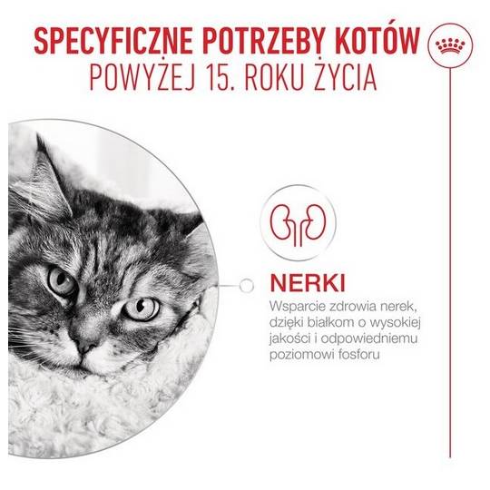 Royal Canin Ageing +15 karma sucha dla kotów dojrzałych 2kg