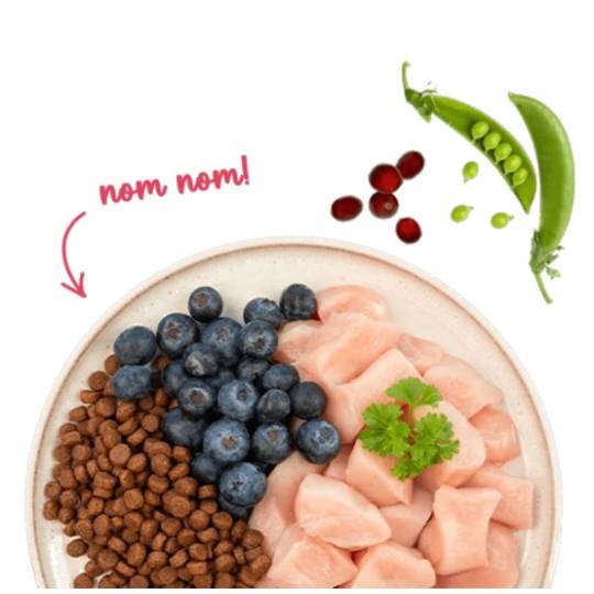 Sanabelle Adult Huhn z kurczakiem 8kg