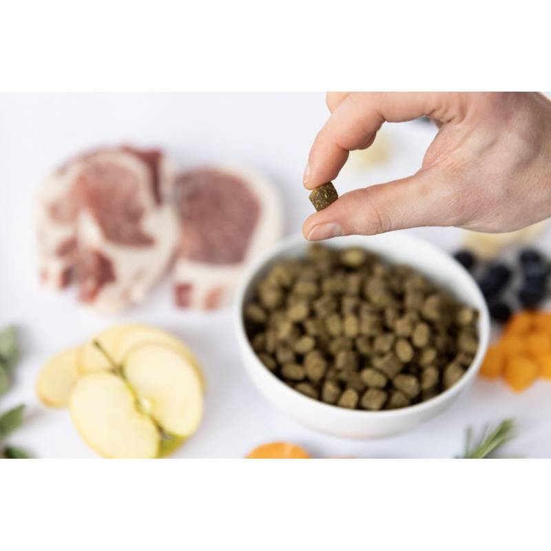 YDOLO Iberico - wieprzowina Iberico - karma półwilgotna dla psa (100g)