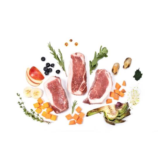 YDOLO Iberico - wieprzowina Iberico - karma półwilgotna dla psa (100g)