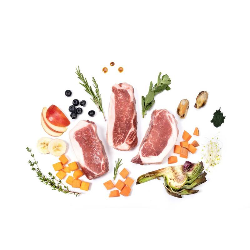 YDOLO Iberico - wieprzowina Iberico - karma półwilgotna dla psa (100g)