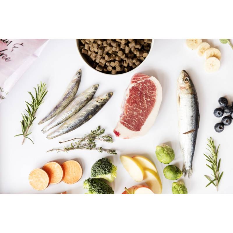 YDOLO Puppy - wieprzowina Iberico i ryby - karma półwilgotna dla szczeniąt (100g)