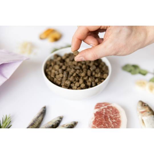 YDOLO Puppy - wieprzowina Iberico i ryby - karma półwilgotna dla szczeniąt (100g)