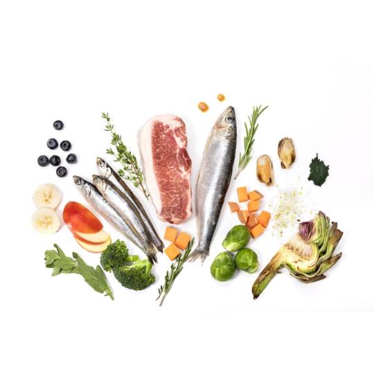 YDOLO Puppy - wieprzowina Iberico i ryby - karma półwilgotna dla szczeniąt (100g)