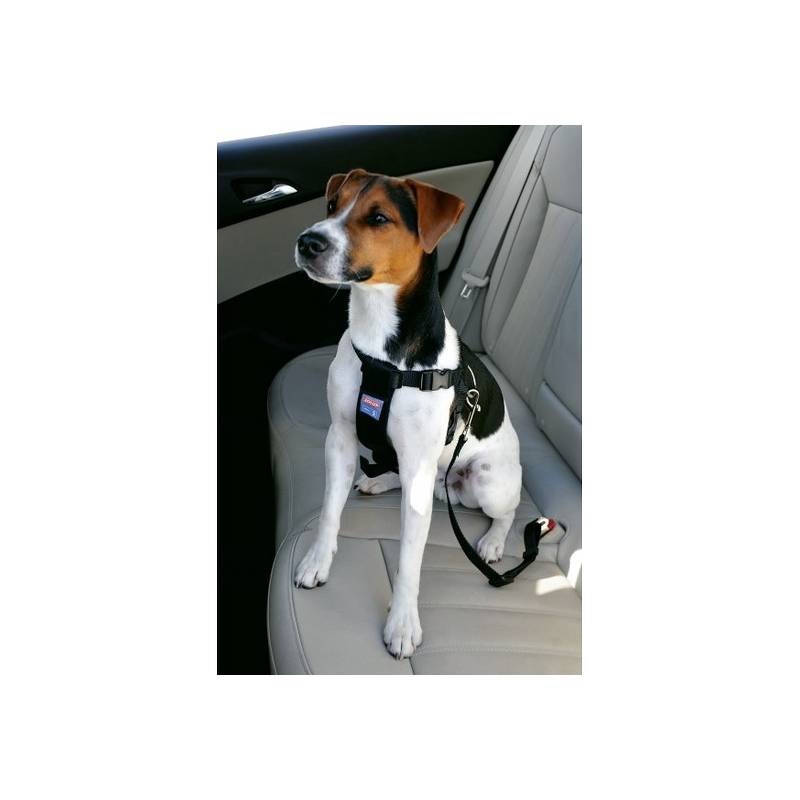 Zolux Szelki bezpieczeństwa dla psów rozmiar M [403325]