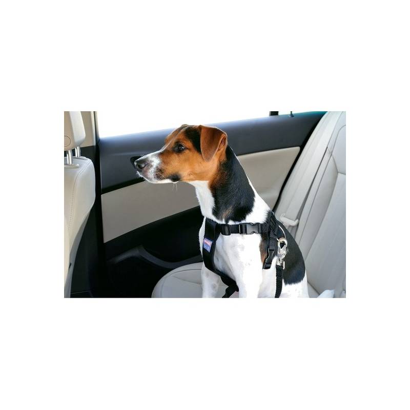 Zolux Szelki bezpieczeństwa dla psów rozmiar M [403325]