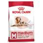 Royal Canin Medium Ageing 10+ karma sucha dla psów starszych, ras średnich 15kg