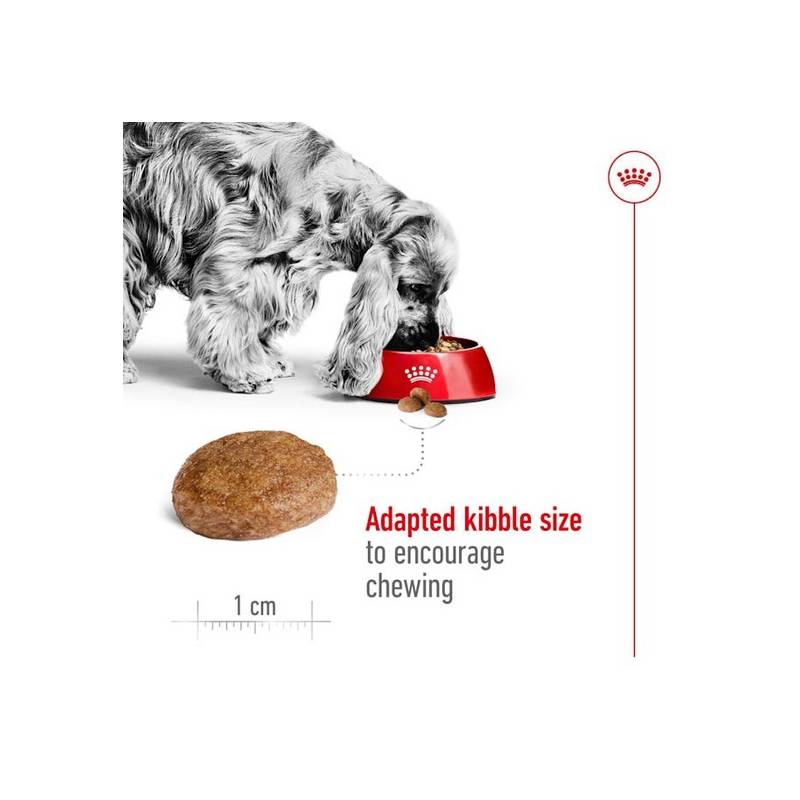 Royal Canin Medium Adult 7+ karma sucha dla psów dorosłych, ras średnich 15kg