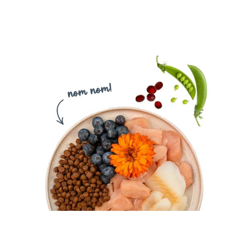 Sanabelle Adult Forelle - z pstrągiem 2kg