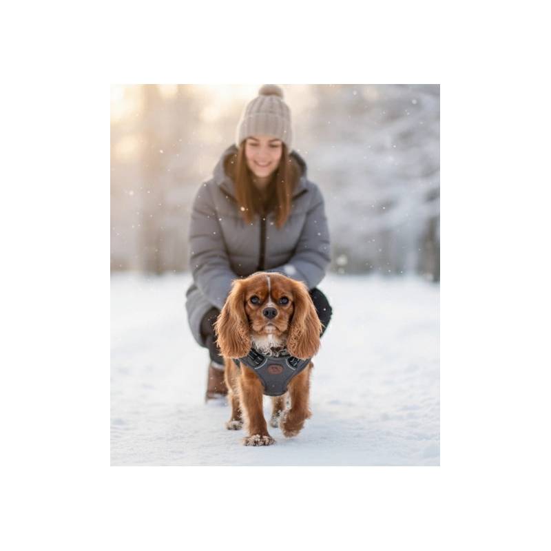 Zolux Kurtka puchowa z szelkami dla psa R.35 szara