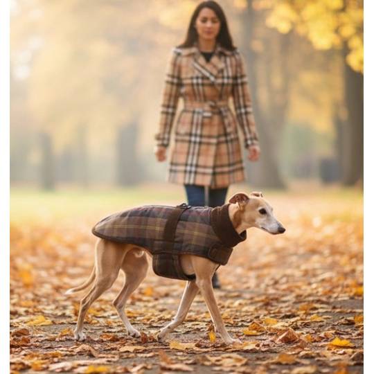 Zolux Kurtka w kratę dla psa Cheverny R.40 brązowa