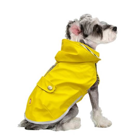 Zolux Kurtka Płaszcz wodoodporna Saint Malo R.40 żółta