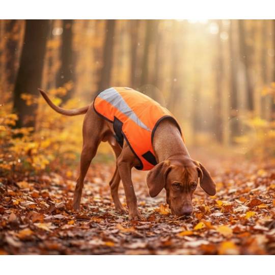 Zolux Kamizelka odblaskowa R.50 pomarańczowa