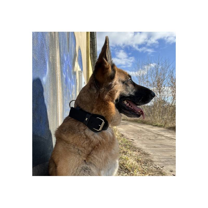 Dingo Obroża specjalna z taśmy 4,0x55-65cm czarna