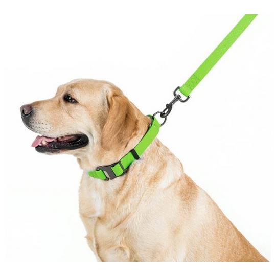 Collar Waterproof Smycz wodoodporna L-XXL 25mm/183cm jasnozielona