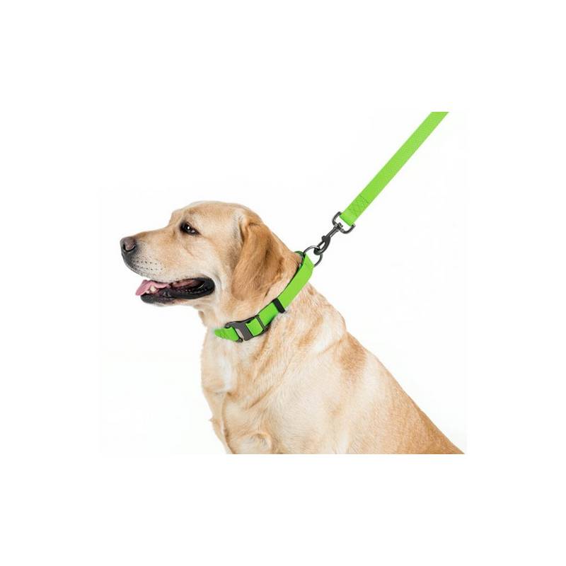 Collar Waterproof Smycz wodoodporna L-XXL 25mm/183cm jasnozielona