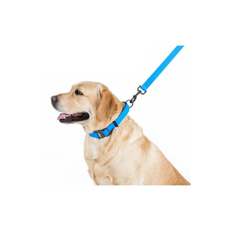 Collar Waterproof Smycz wodoodporna L-XXL 25mm/183cm niebieska