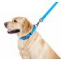 Collar Waterproof Smycz wodoodporna L-XXL 25mm/183cm niebieska