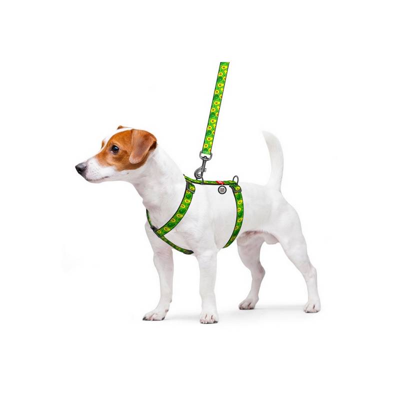Collar WauDog Nylon Szelki nylonowe anatomiczne w kształcie litery H, z QR-paszportem, plastikowy fastex, wzór AWOKADO, rozmiar 