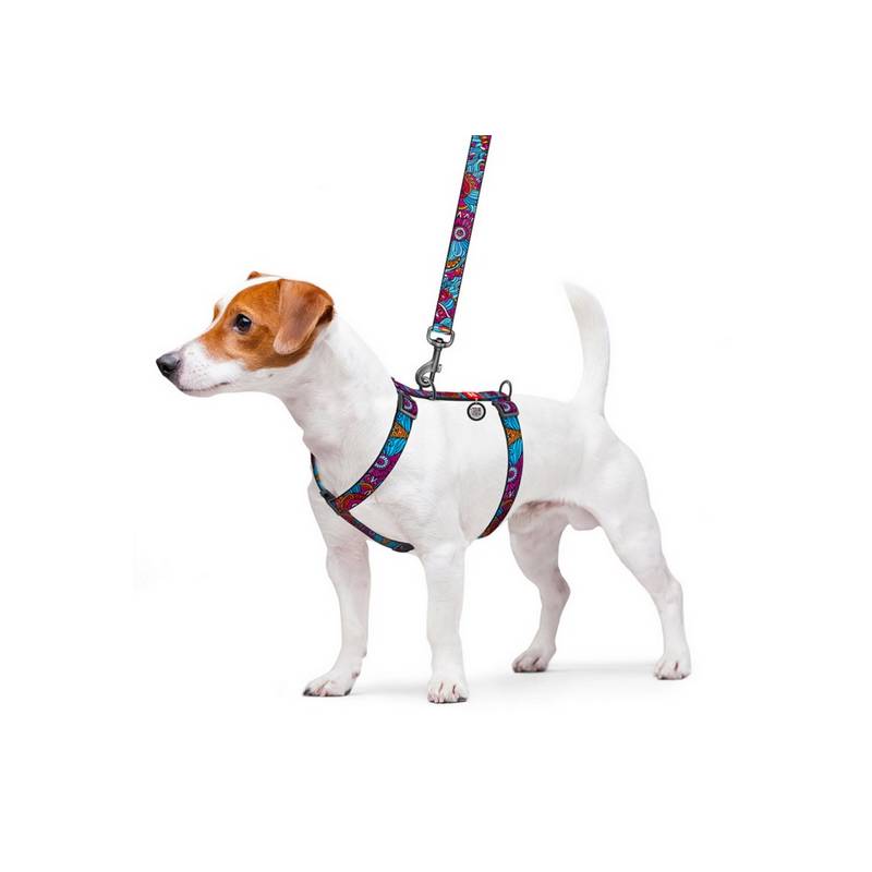 Collar WauDog Nylon Szelki nylonowe anatomiczne w kształcie litery H, z QR-paszportem, plastikowy fastex, wzór LATO, rozmiar L 2