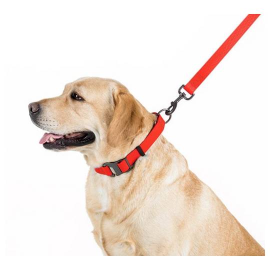 Collar Waterproof Smycz wodoodporna M 20mm/183cm czerwona