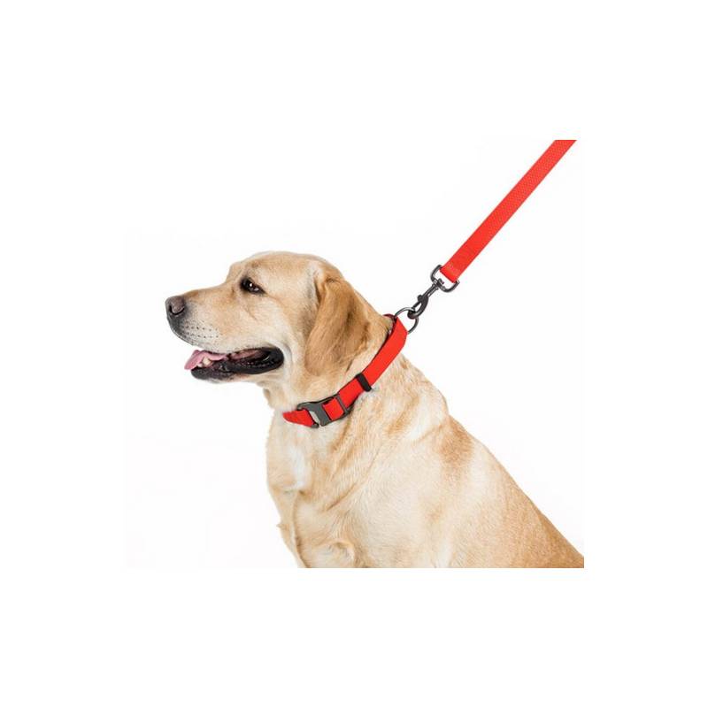 Collar Waterproof Smycz wodoodporna M 20mm/183cm czerwona