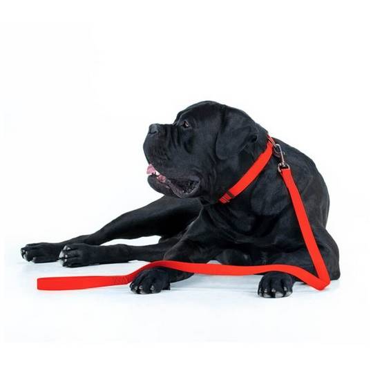 Collar Waterproof Smycz wodoodporna M 20mm/183cm czerwona